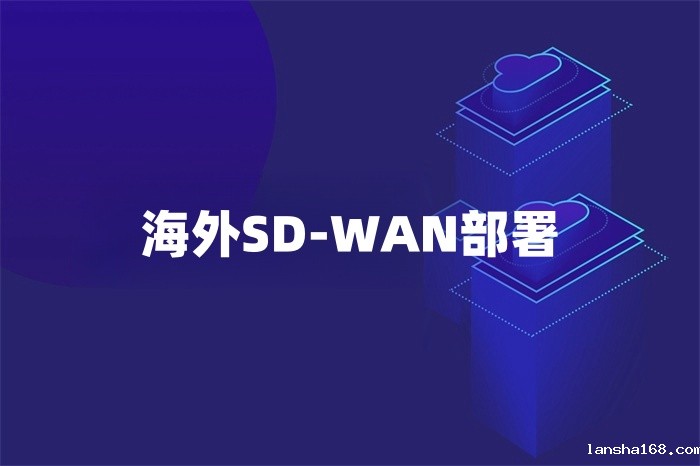海外SD-WAN部署