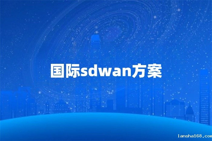 国际sdwan方案