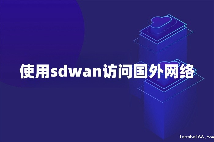 使用sdwan访问国外网络 使用sdwan访问国外网络