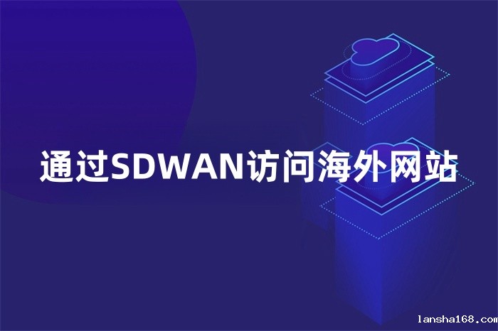 通过SDWAN访问海外网站 通过SDWAN访问海外网站