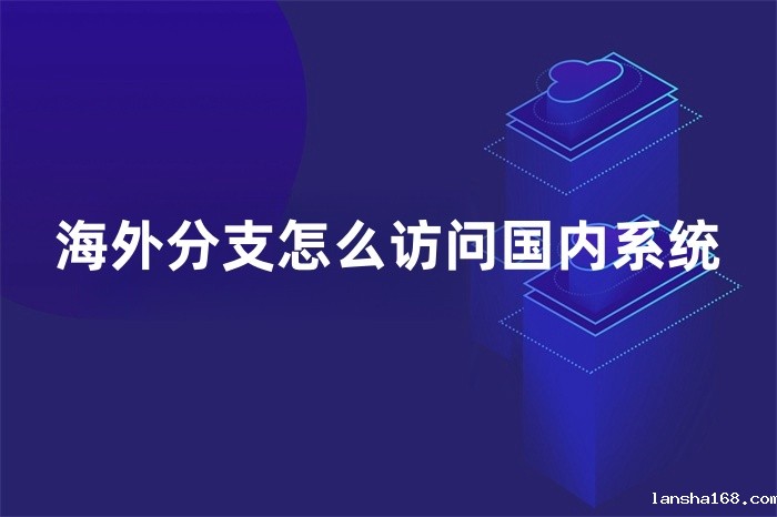 海外分支怎么访问国内系统