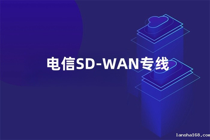 电信SD-WAN专线 电信SD-WAN专线