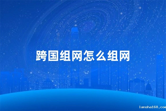 跨国组网怎么组网
