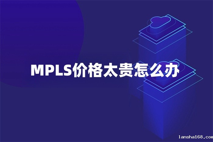 MPLS价格太贵怎么办