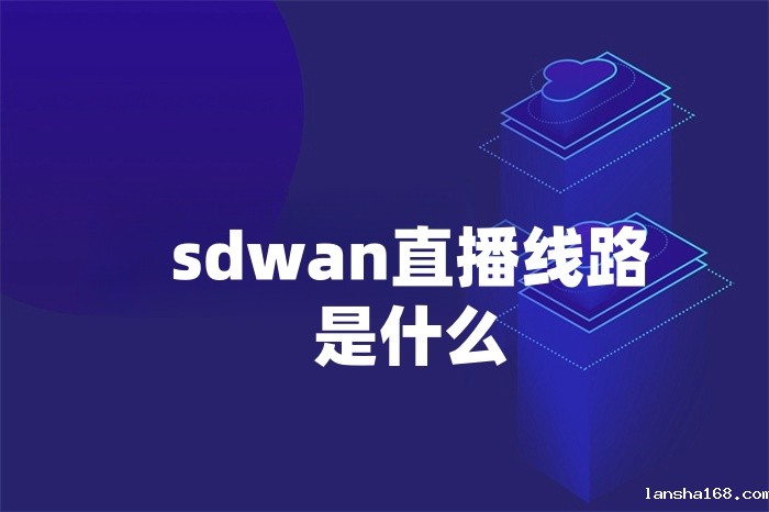 sdwan直播线路是什么 sdwan直播线路是什么
