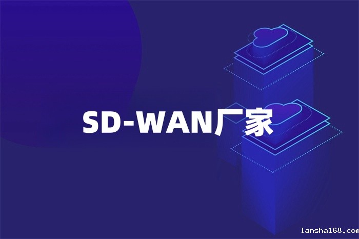 SD-WAN厂家