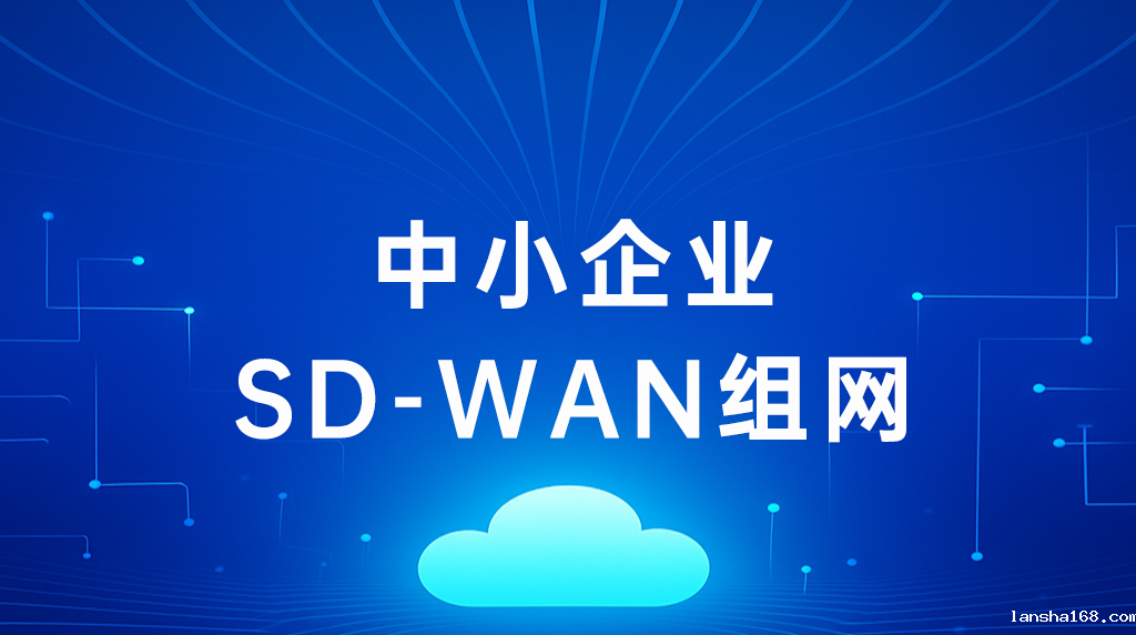 1752214781238643.png 中小企业SD-WAN组网.png